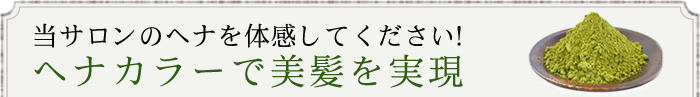 ヘナ カラーで美髪を実現
